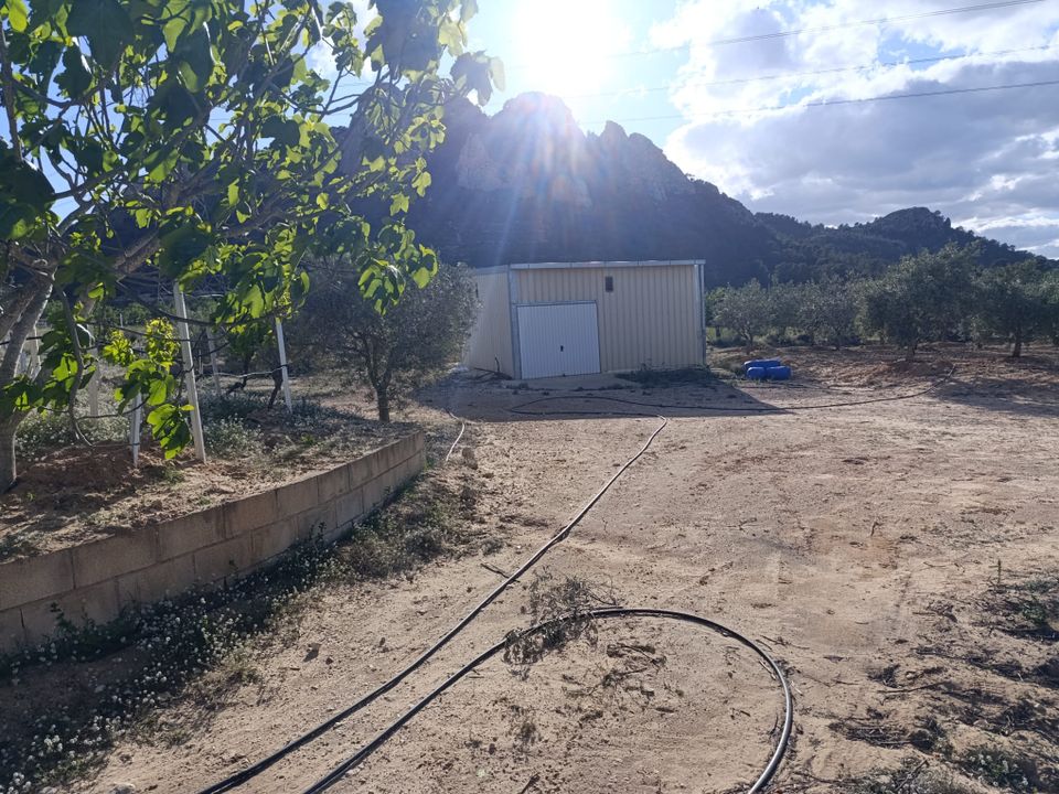 Landejendom i Sax, Alicante - foto 1